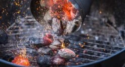 THM Houtskoolbriketten - Voordeelpak - 18kg 9 THM Houtskoolbriketten - Voordeelpak - 18kg -The Bastard Winkel 1200x642